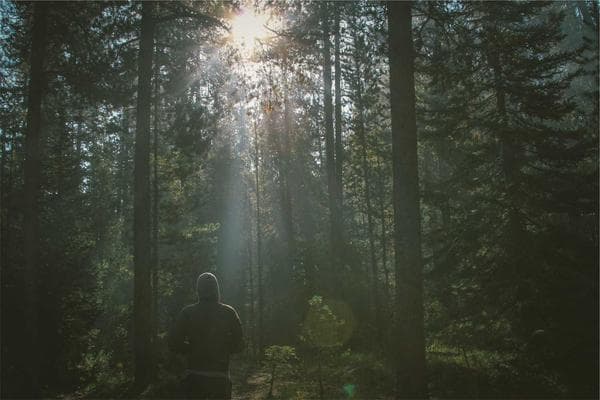 Mental Health Check-in
